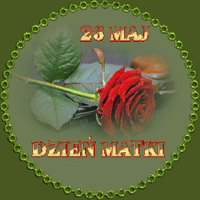 Brokatowa czerwona róża 26 maj